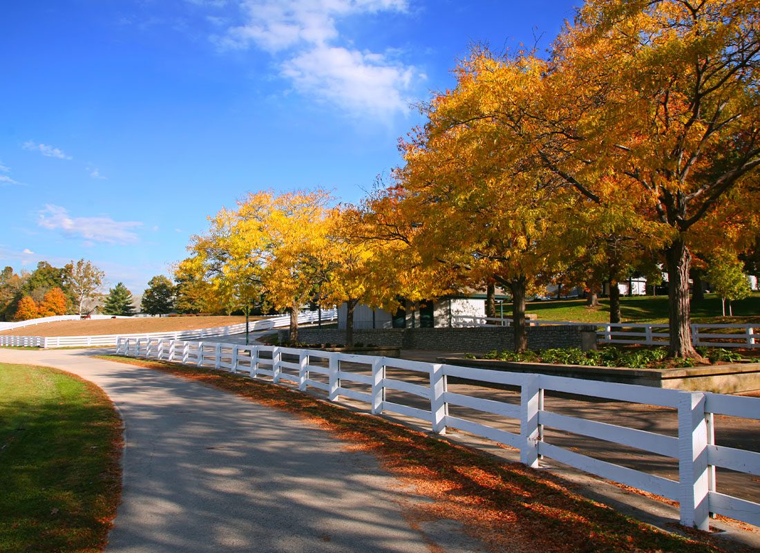 Nicholasville, KY - Kentucky Horse Farm with White Fence on a Sunny Day